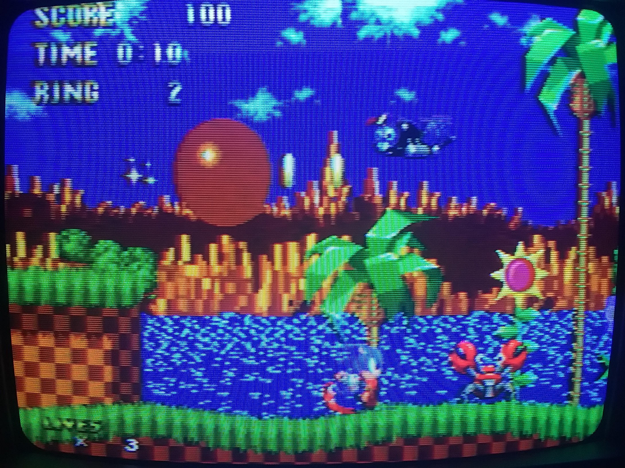 A screenshot of the Computer Chronicles build of Sonic The Hedgehog